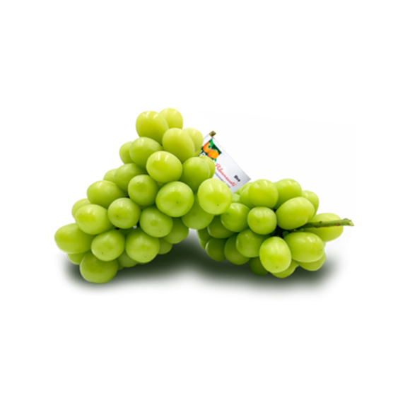Pilarmoscato Grapes