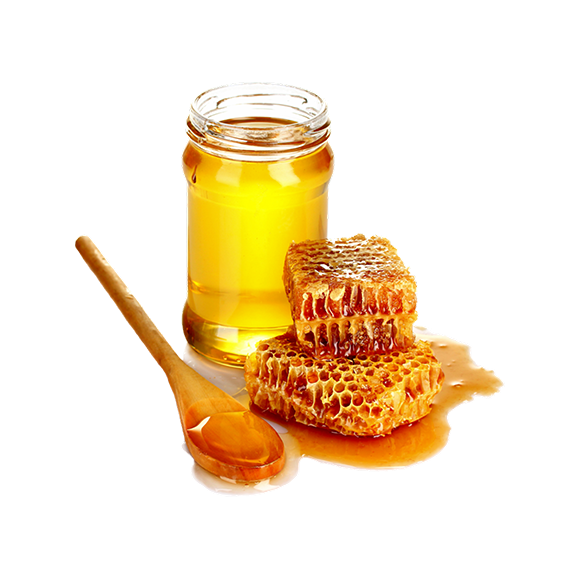 Tubes of 1,08Kg 100% Natural Honey