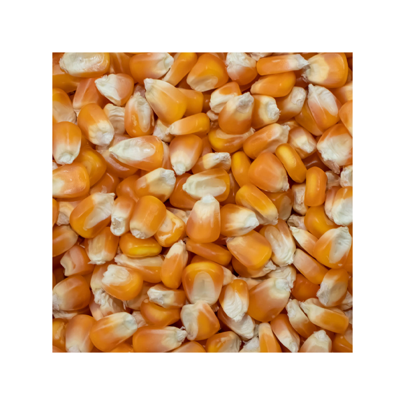 Whole Grain Corn