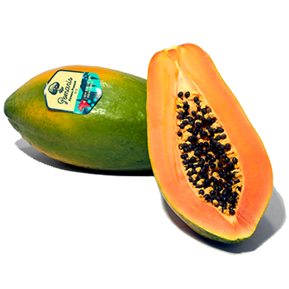 Papaya and Formosa Papaya