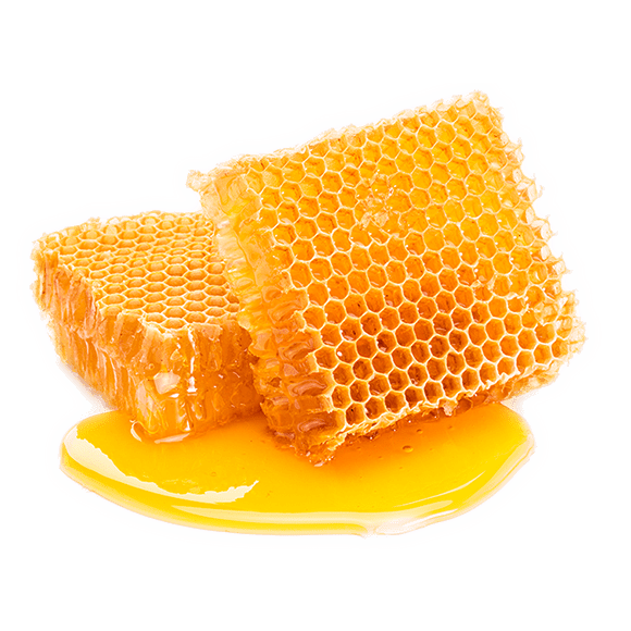 HONEY AND DERIVATIVES