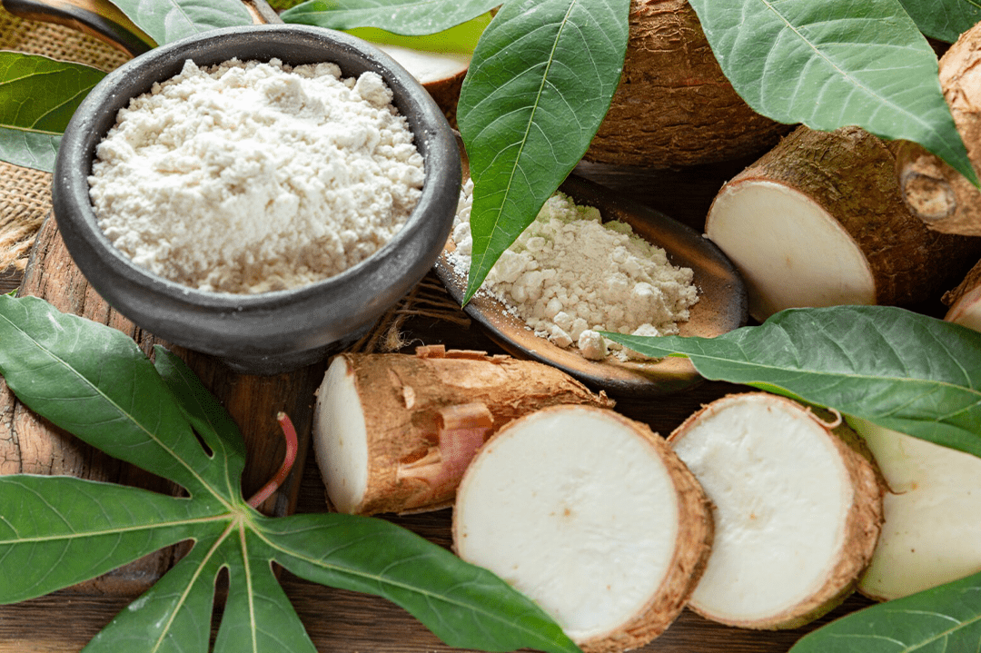 Brazilian cooperative sends cassava flour to the United States