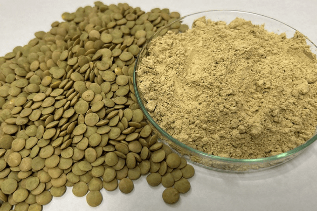 (English) Super Foods: Brazilian Farmers Innovate with Lentil and Chickpea Protein Concentrates