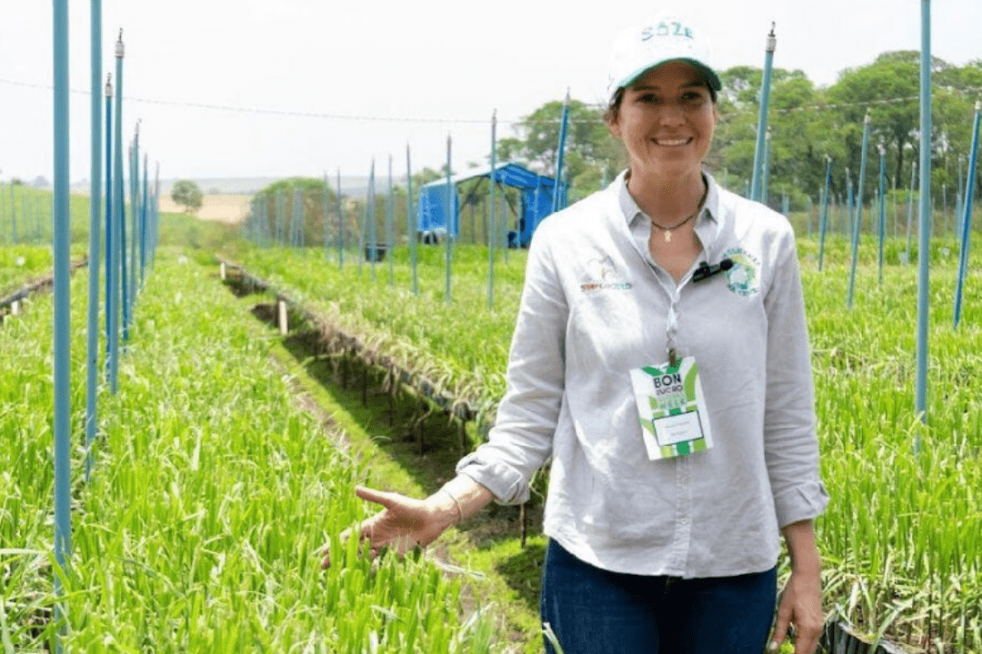 SôZé: Pioneering sustainable cachaça and female leadership in Brazilian agriculture