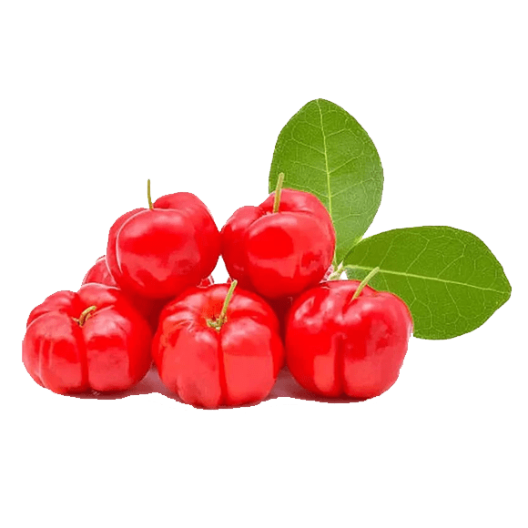 Powdered acerola extract