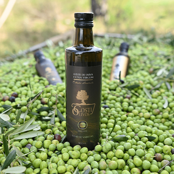 OLIVE OIL