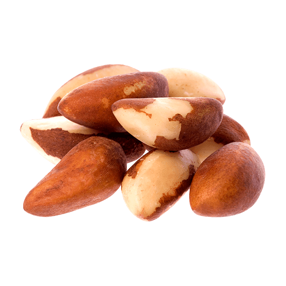 BRAZIL NUTS