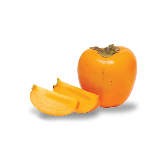 APPC_persimmon.png