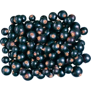 Geleias e marmelades