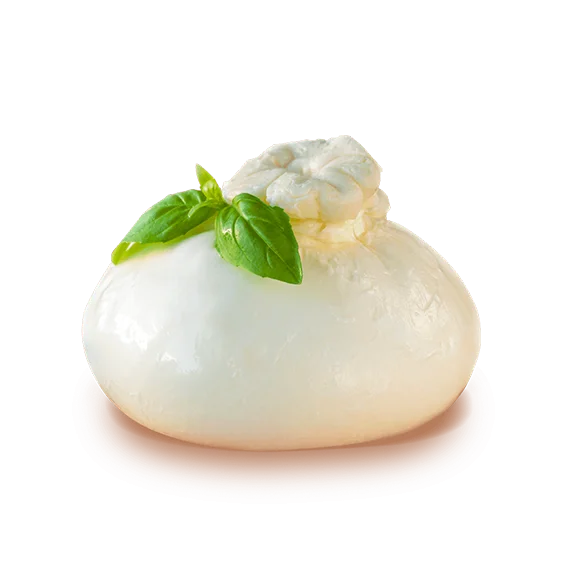 BURRATA