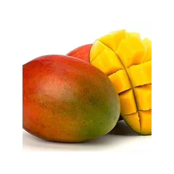 comex-kent-mango.png