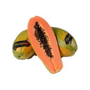 formosa-papaya-norte-frut.png