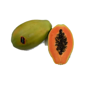 golden-papaya-norte-frut.png