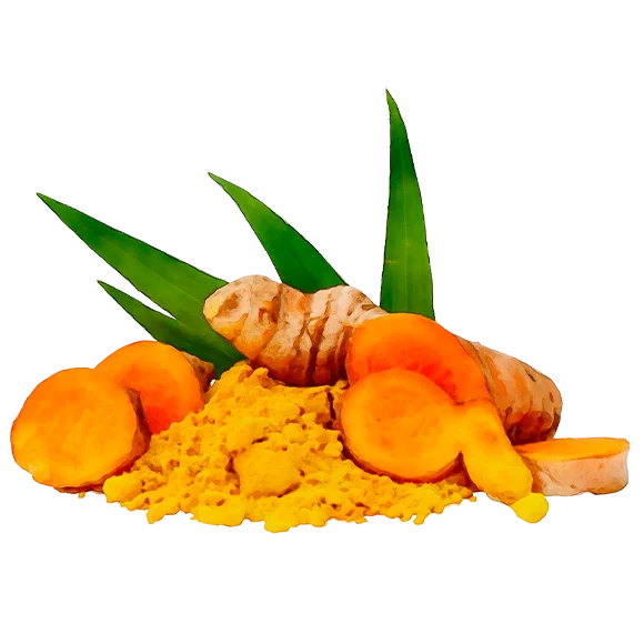 Curcuma