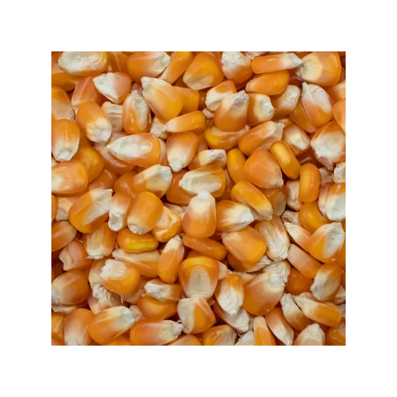 whole-grain-corn-brmill.png