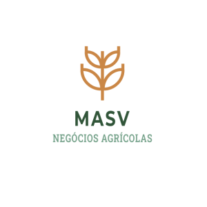 Masv