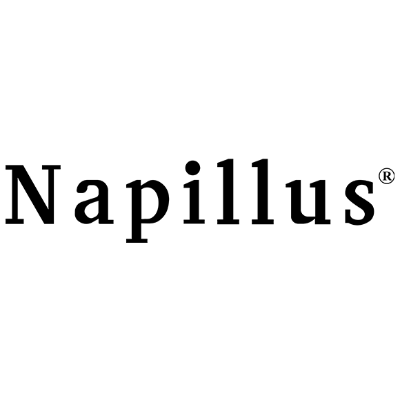 NAPILLUS - logo