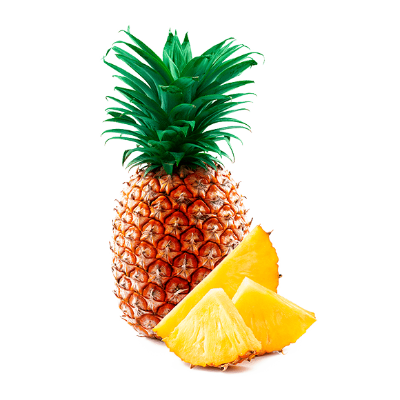 LOGO 580X580 Fruttecc