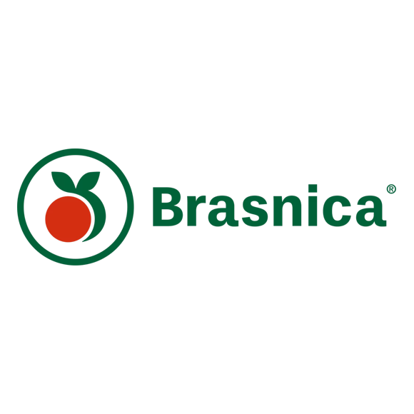 logo 580-580 brasnica