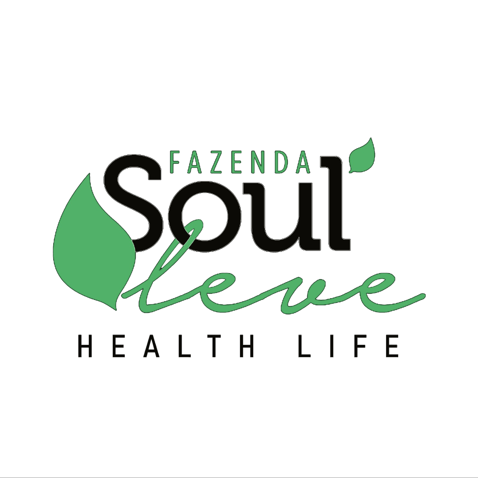 logo 580-580 fazendo soul leve
