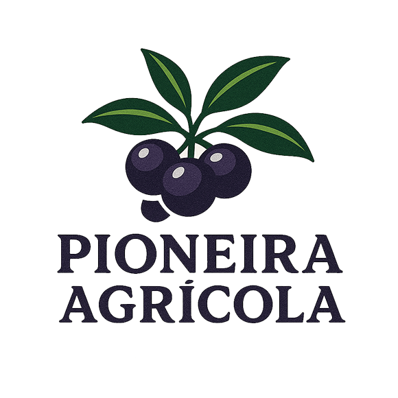 logo 580-580 pioneira