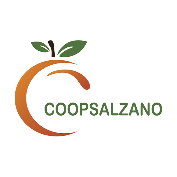 logo 580 580
