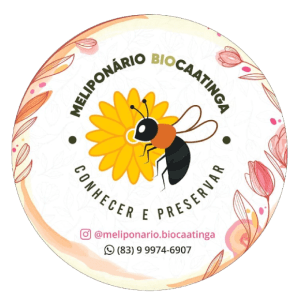 Meliponário BioCaatinga