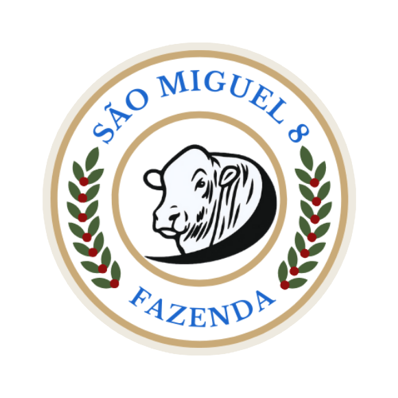 fazenda sao miguel