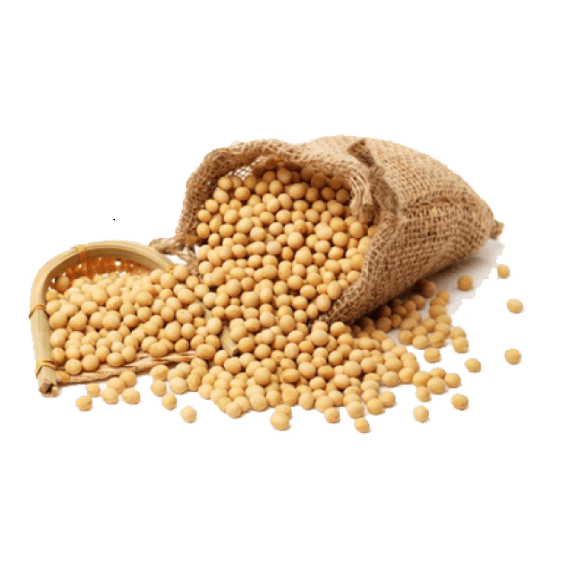 Soja