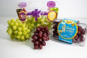 WhatsAppImage2026-02-25at17.55.569