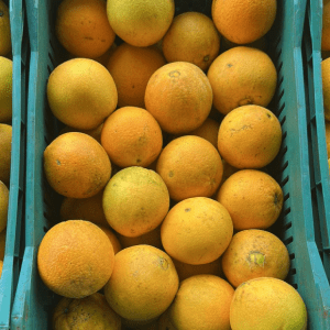 Laranja de umbigo