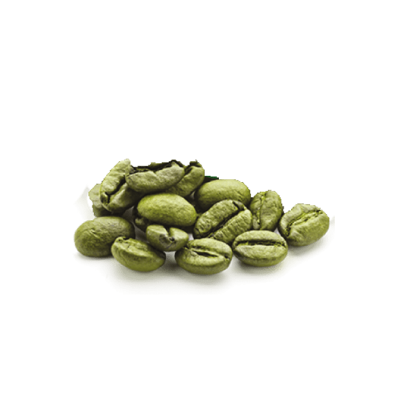Café verde em grão não torrado e não descafeinado