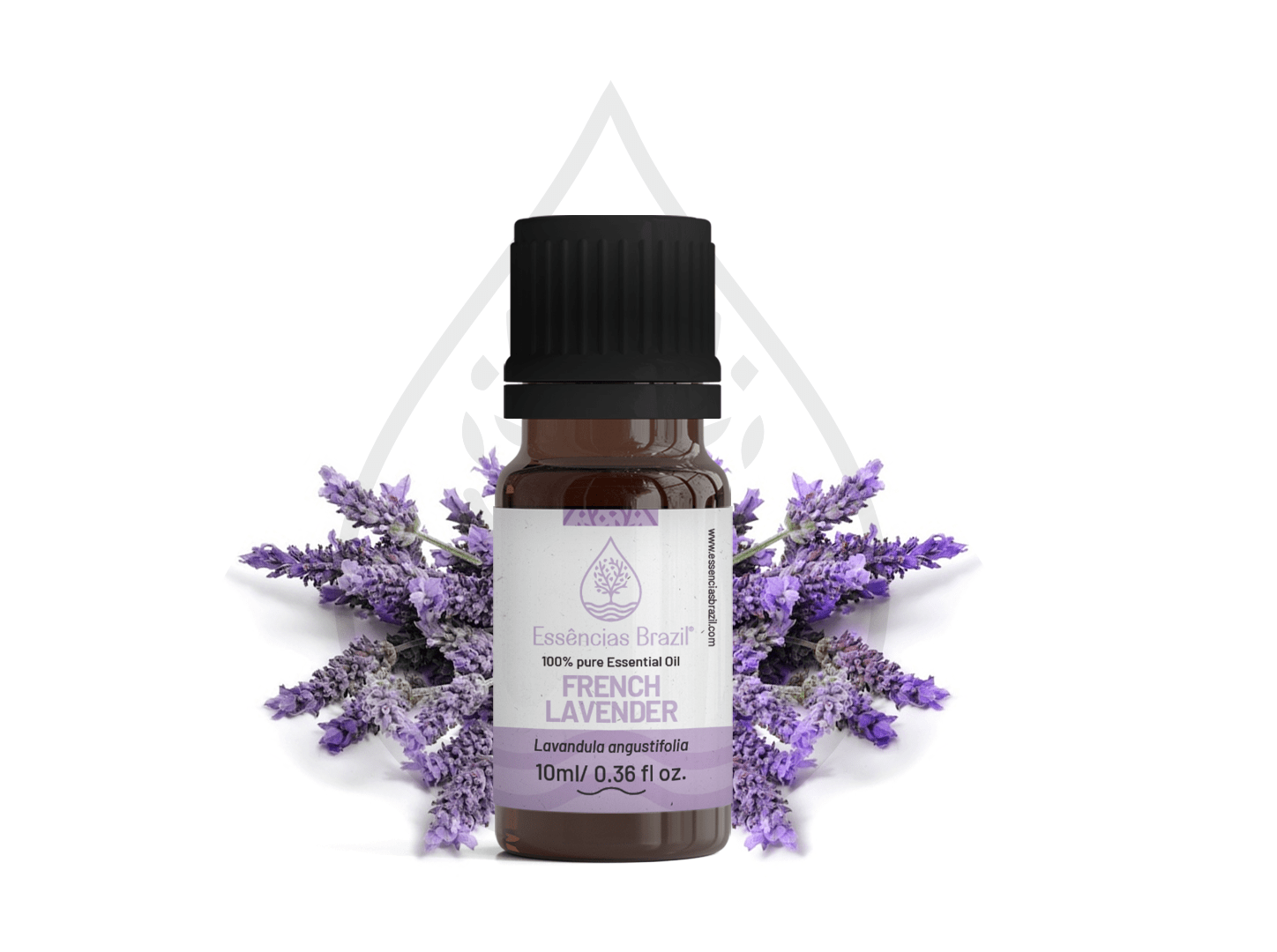 french-lavender-mokcup-Oleo-essencial-copiar